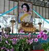 กิจกรรมเนื่องในโอกาสวันเฉลิมพระชนมพรรษา สมเด็จพระนางเจ้าสิริ